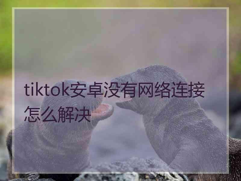 tiktok安卓没有网络连接怎么解决