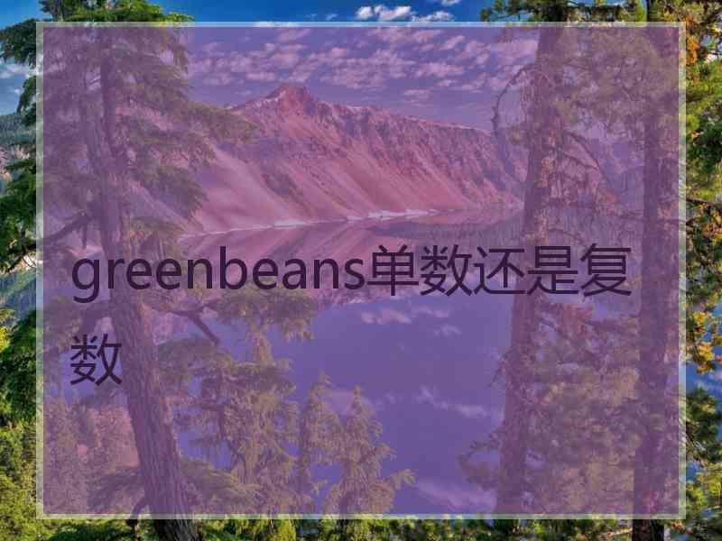 greenbeans单数还是复数