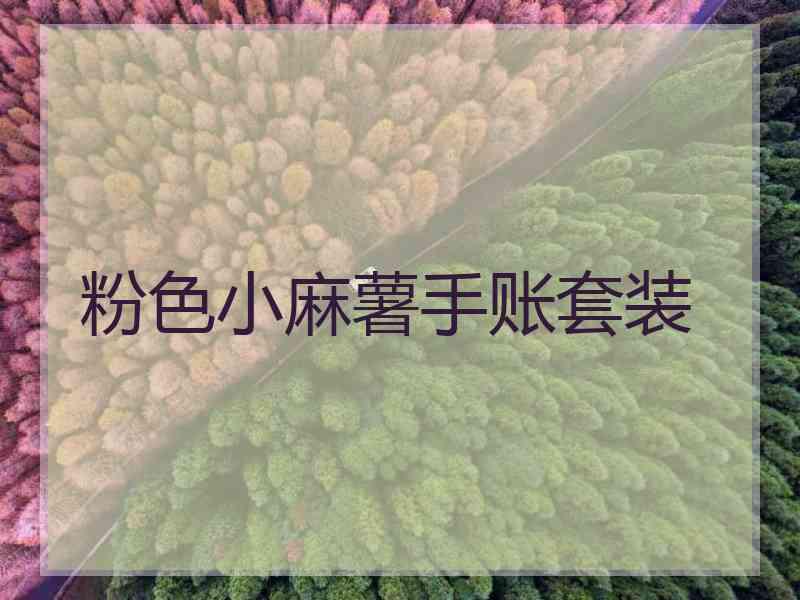 粉色小麻薯手账套装