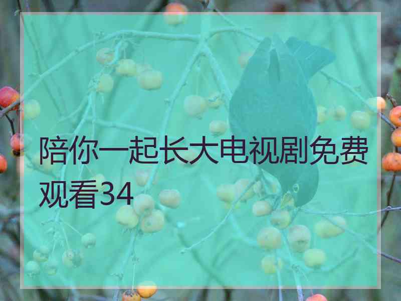 陪你一起长大电视剧免费观看34