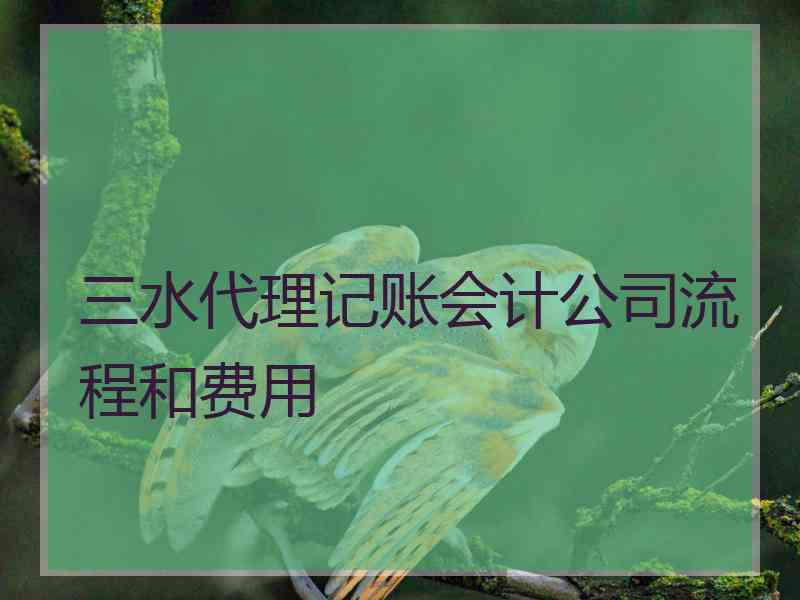 三水代理记账会计公司流程和费用