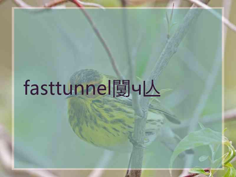 fasttunnel闅ч亾