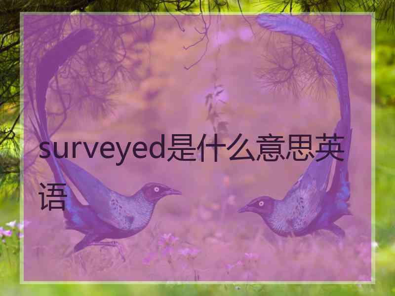 surveyed是什么意思英语