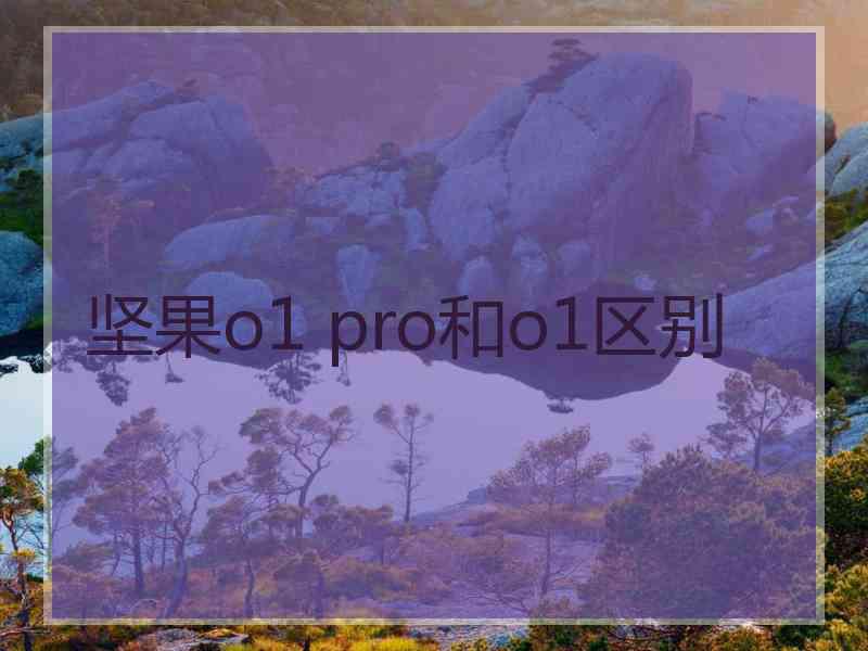 坚果o1 pro和o1区别