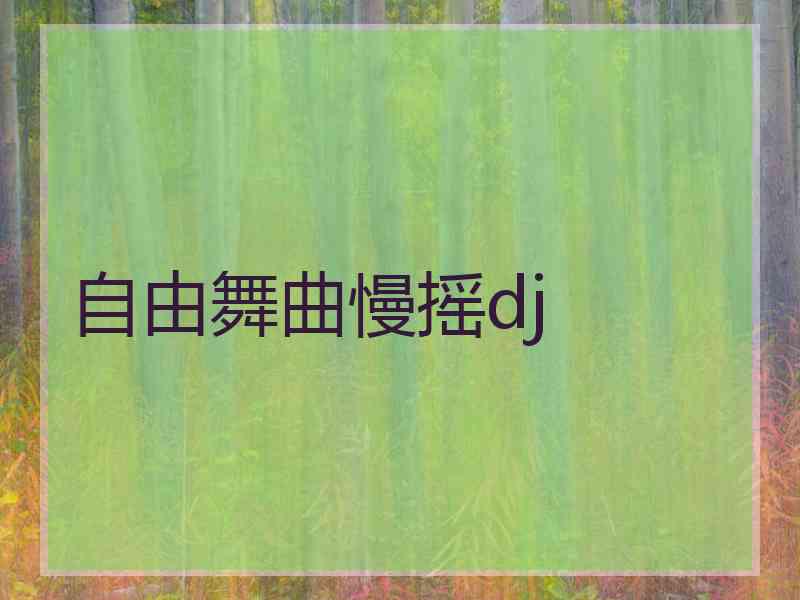 自由舞曲慢摇dj