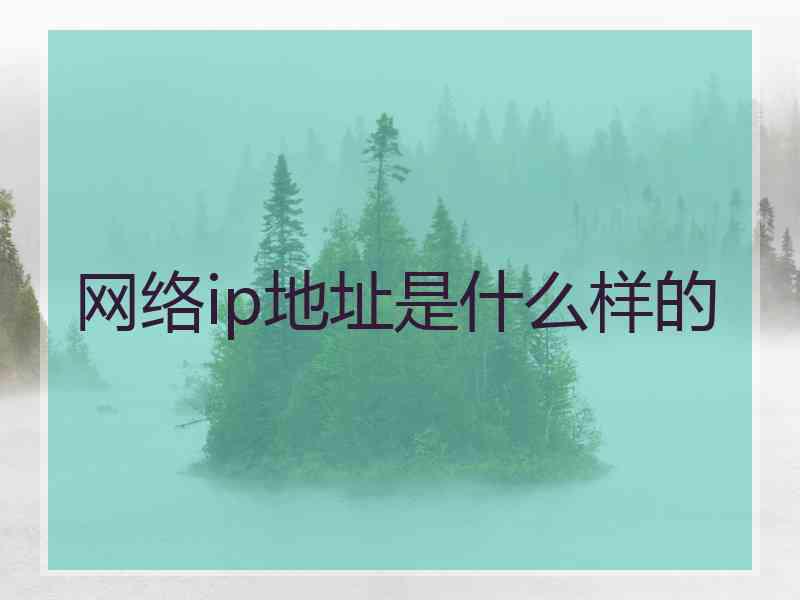 网络ip地址是什么样的