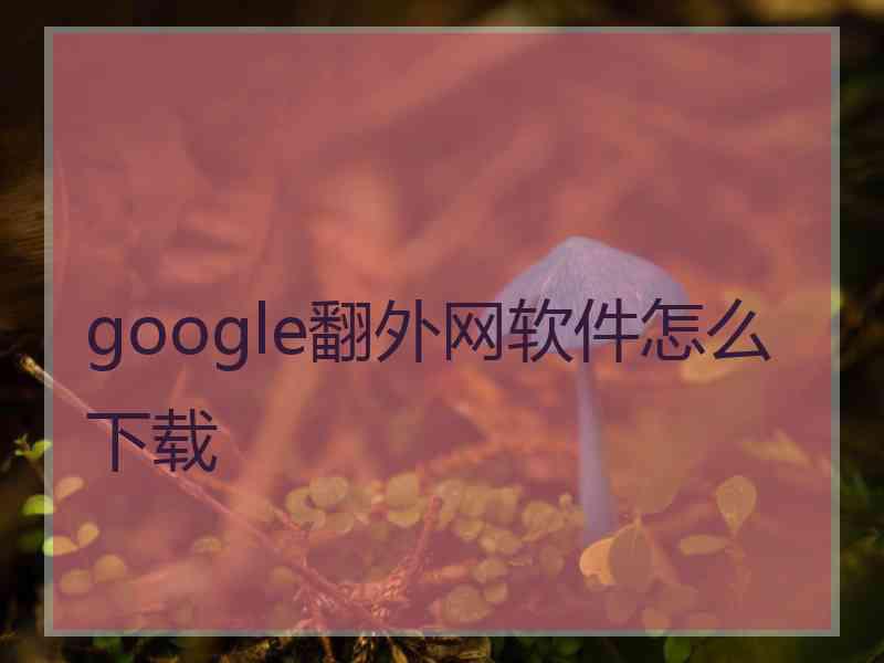 google翻外网软件怎么下载