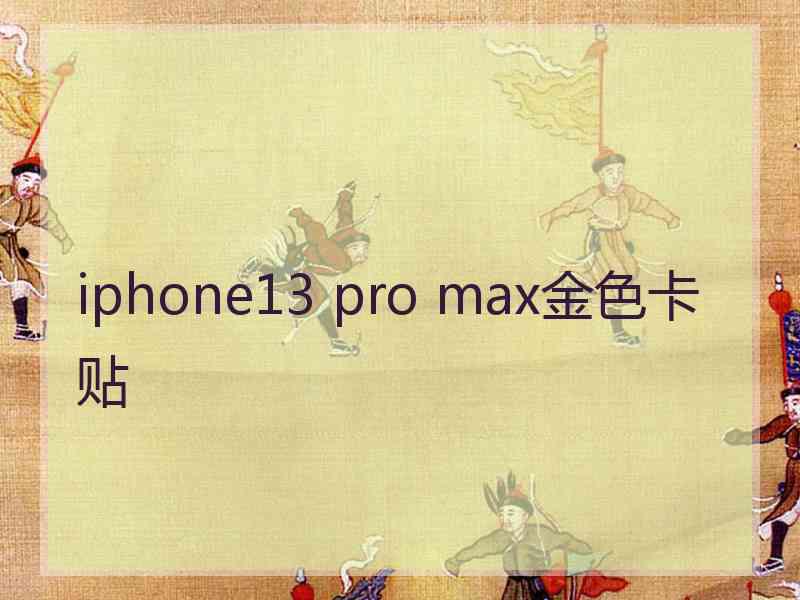 iphone13 pro max金色卡贴