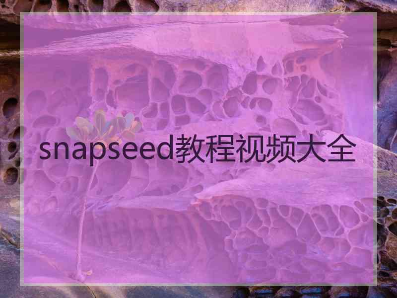 snapseed教程视频大全