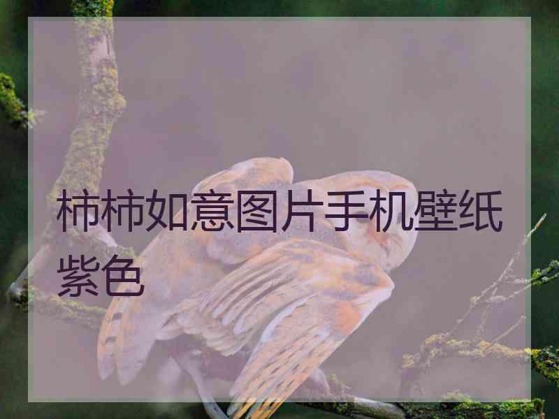 柿柿如意图片手机壁纸紫色