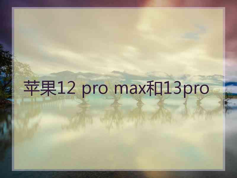 苹果12 pro max和13pro