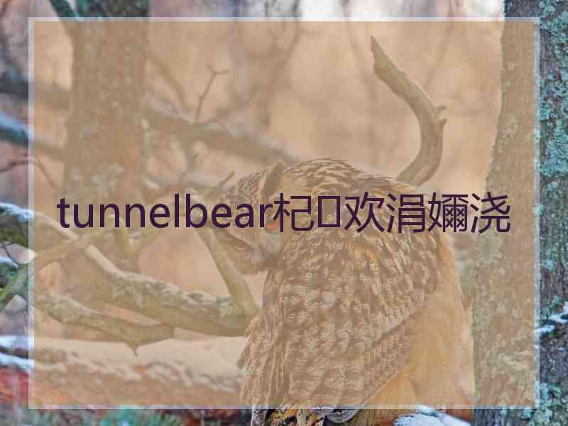 tunnelbear杞欢涓嬭浇