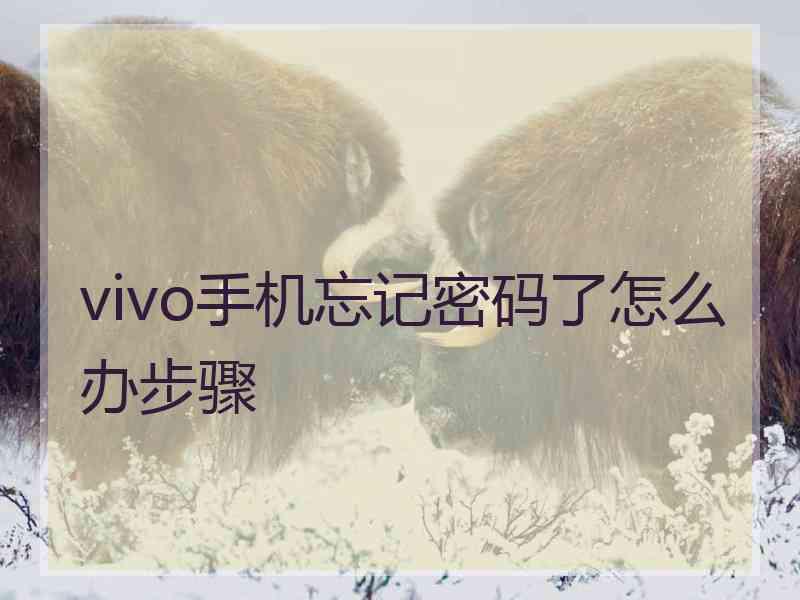 vivo手机忘记密码了怎么办步骤