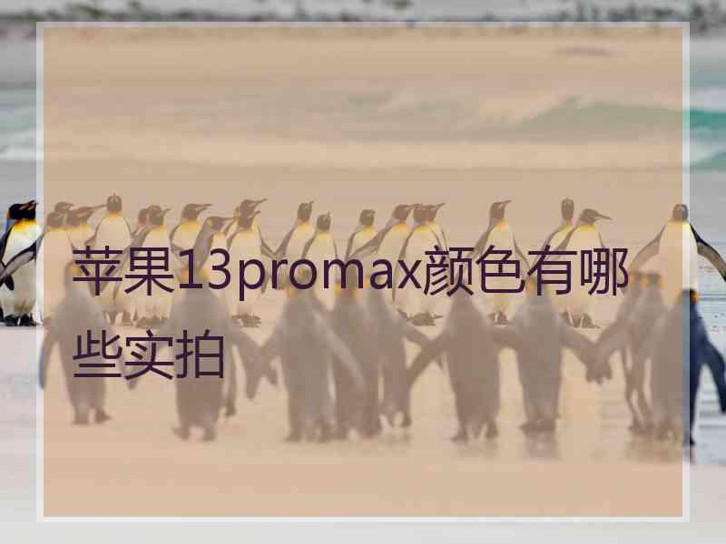 苹果13promax颜色有哪些实拍