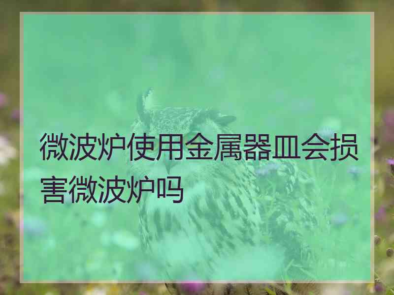 微波炉使用金属器皿会损害微波炉吗