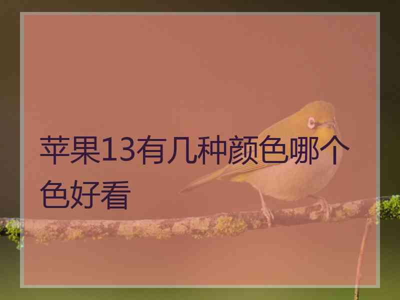 苹果13有几种颜色哪个色好看