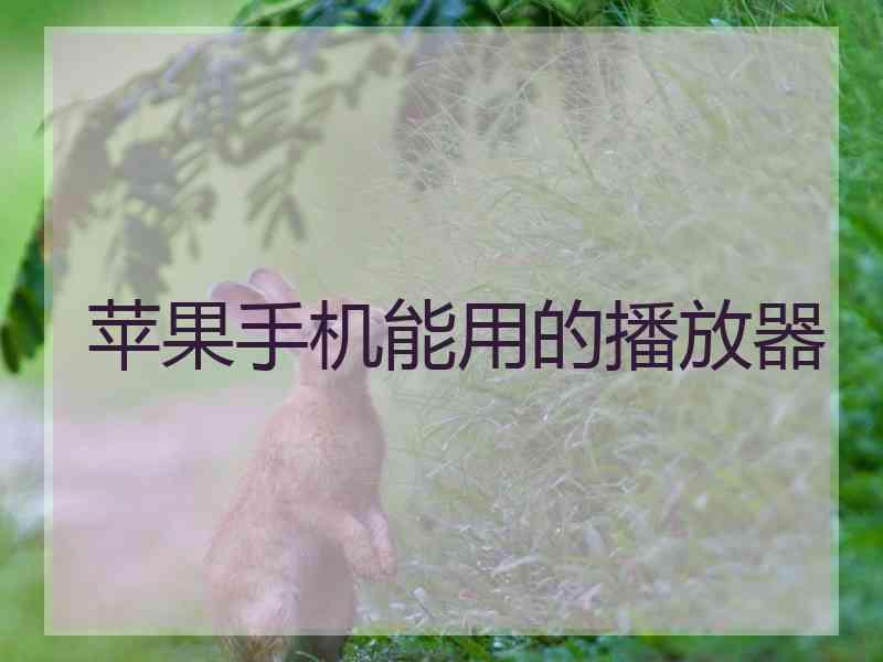 苹果手机能用的播放器