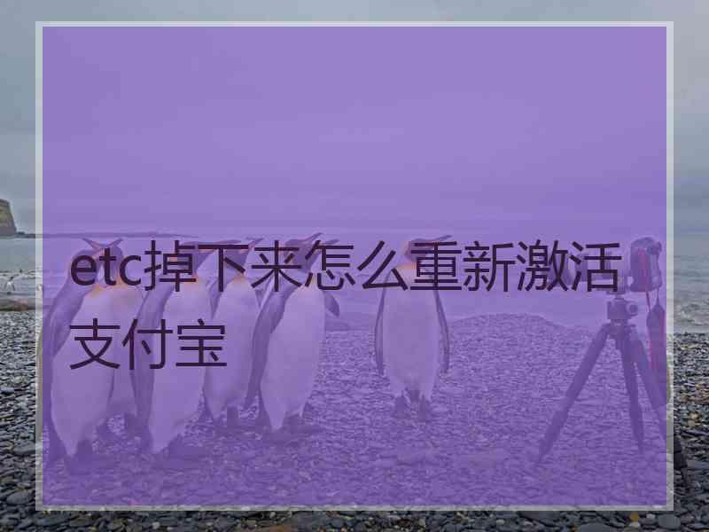 etc掉下来怎么重新激活支付宝