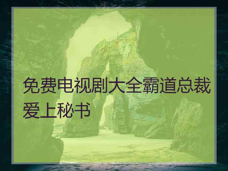 免费电视剧大全霸道总裁爱上秘书