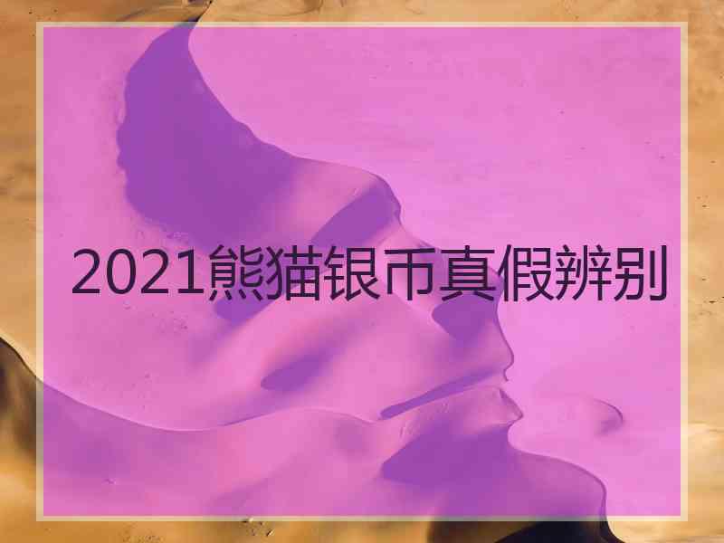 2021熊猫银币真假辨别