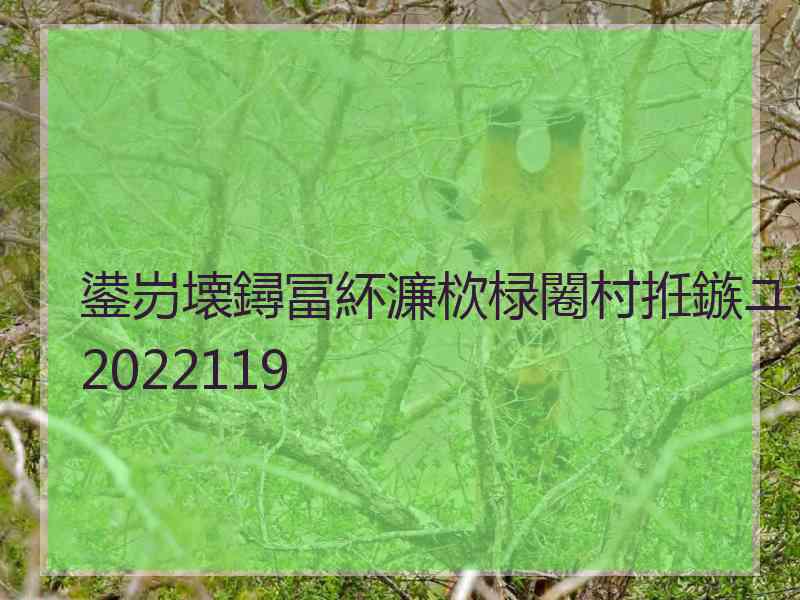 鍙岃壊鐞冨紑濂栨椂闂村拰鏃ユ湡2022119