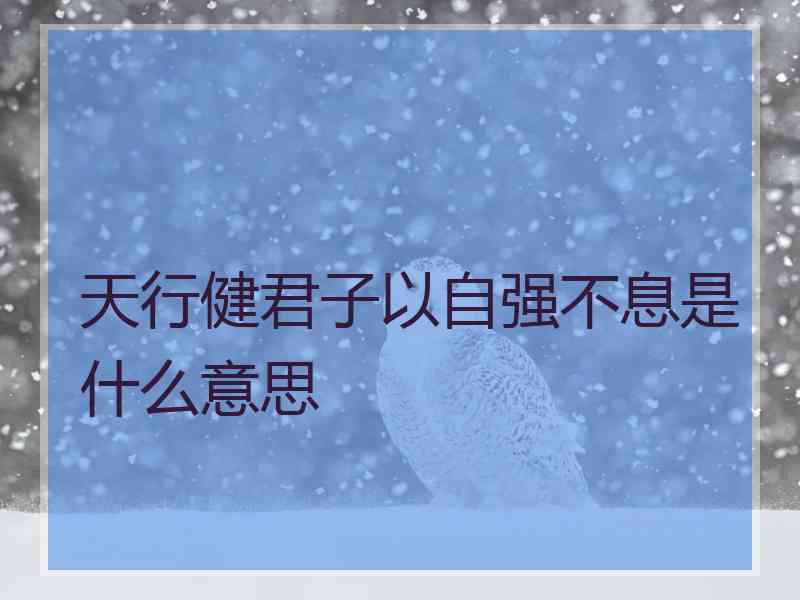 天行健君子以自强不息是什么意思