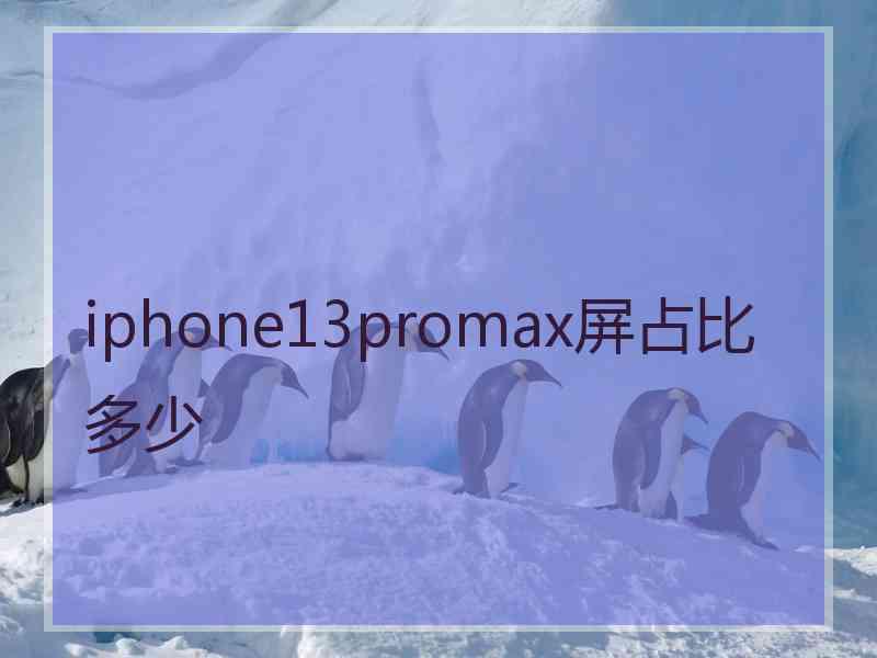 iphone13promax屏占比多少