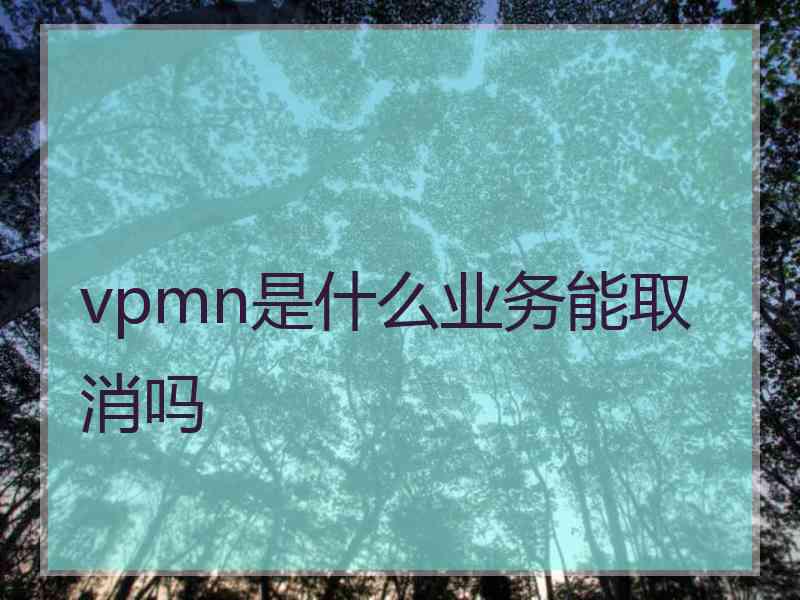 vpmn是什么业务能取消吗