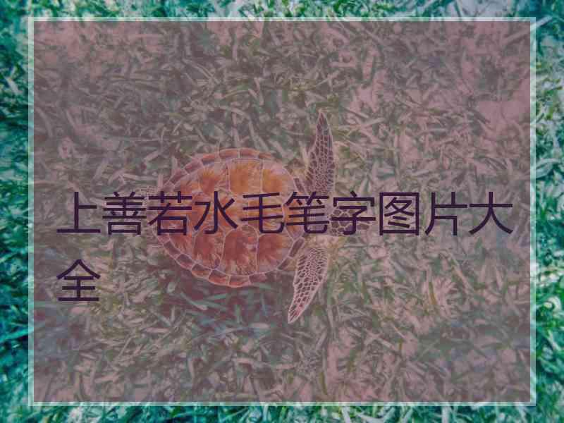 上善若水毛笔字图片大全