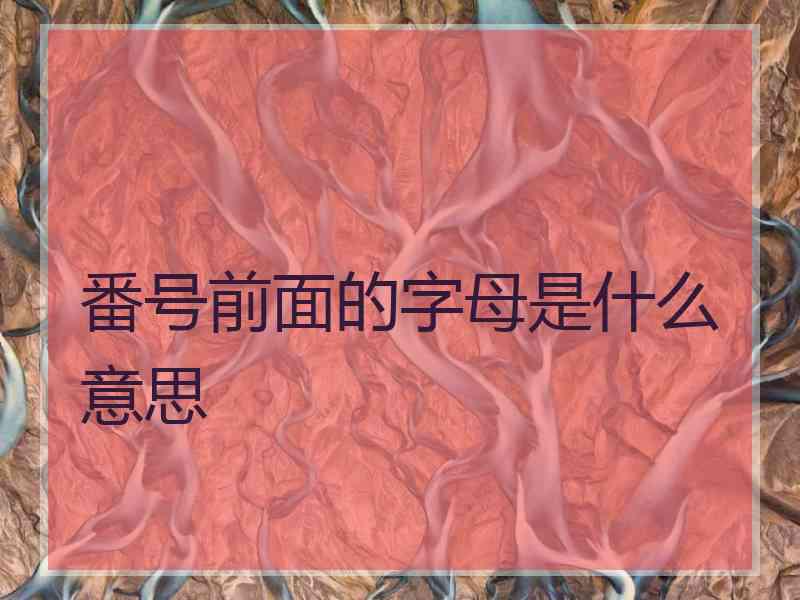 番号前面的字母是什么意思