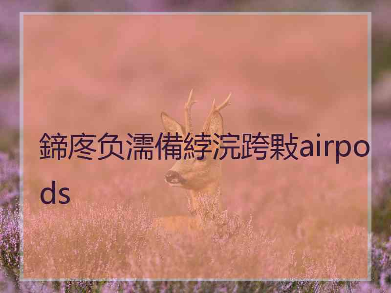 鍗庝负濡備綍浣跨敤airpods