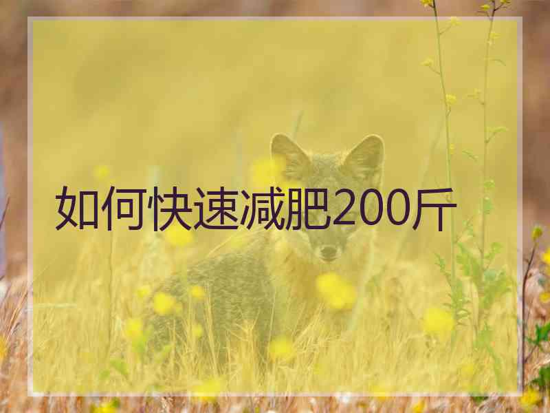 如何快速减肥200斤