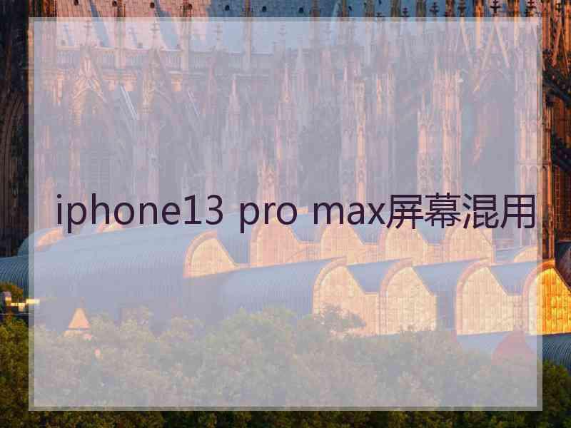 iphone13 pro max屏幕混用