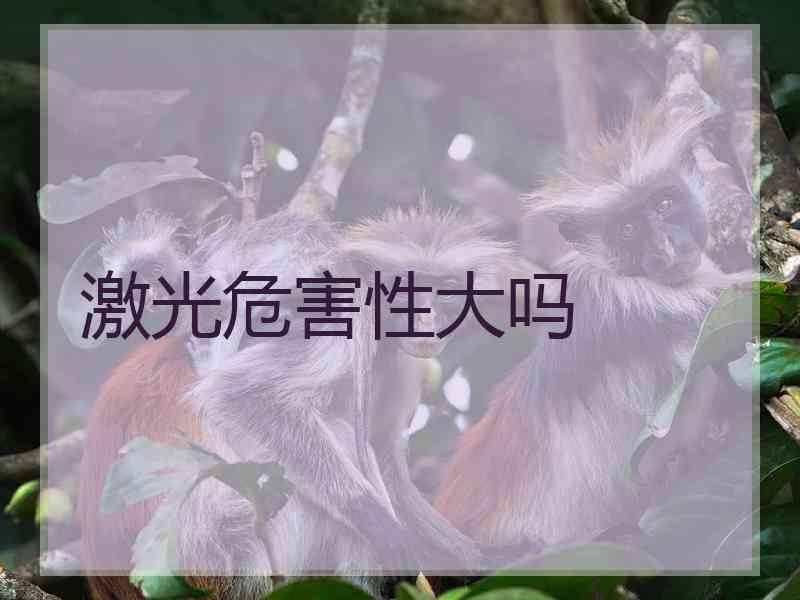 激光危害性大吗