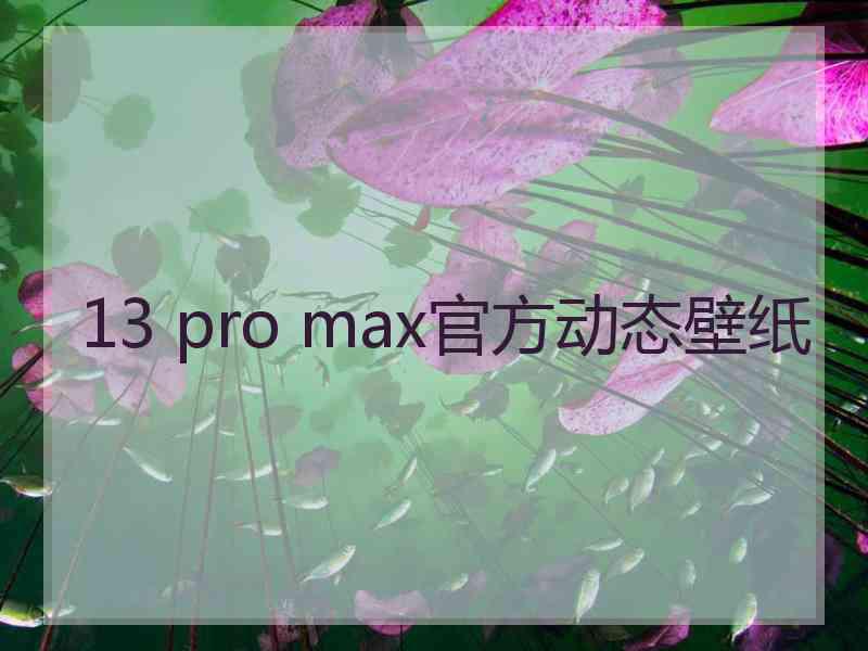 13 pro max官方动态壁纸