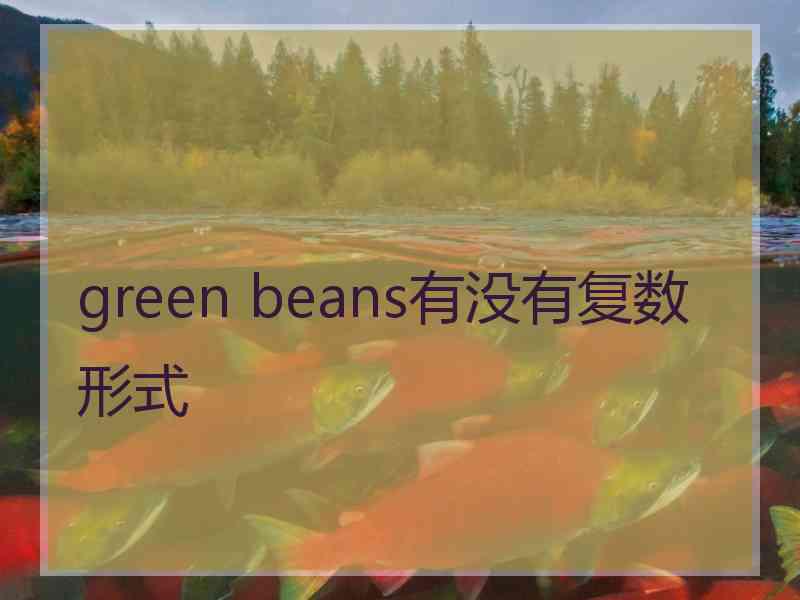 green beans有没有复数形式