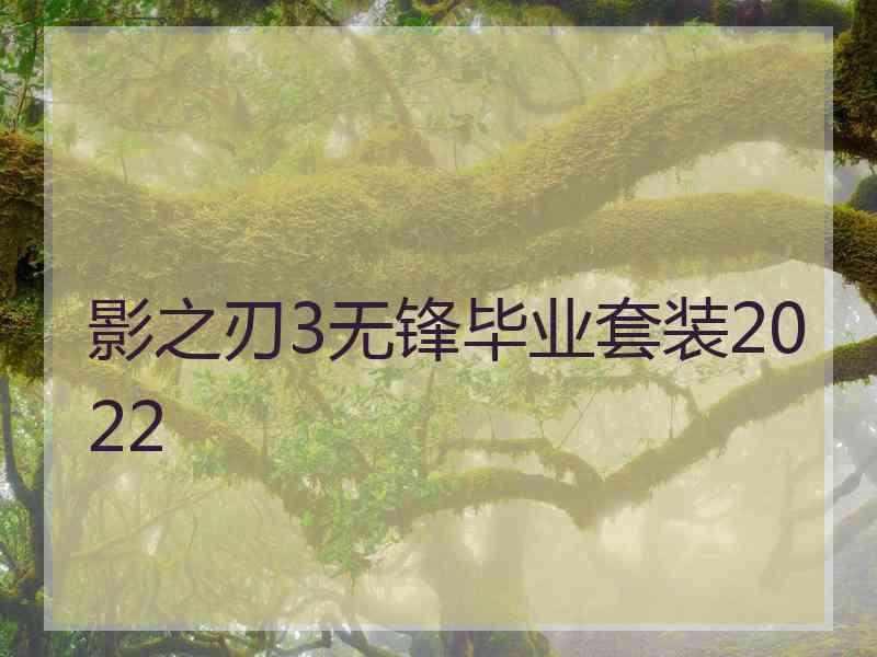 影之刃3无锋毕业套装2022