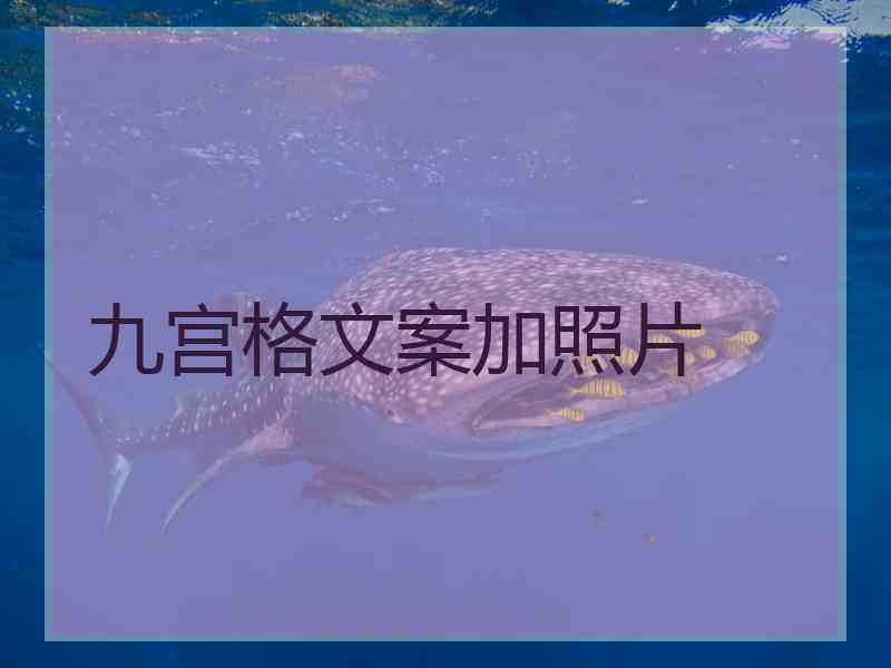 九宫格文案加照片