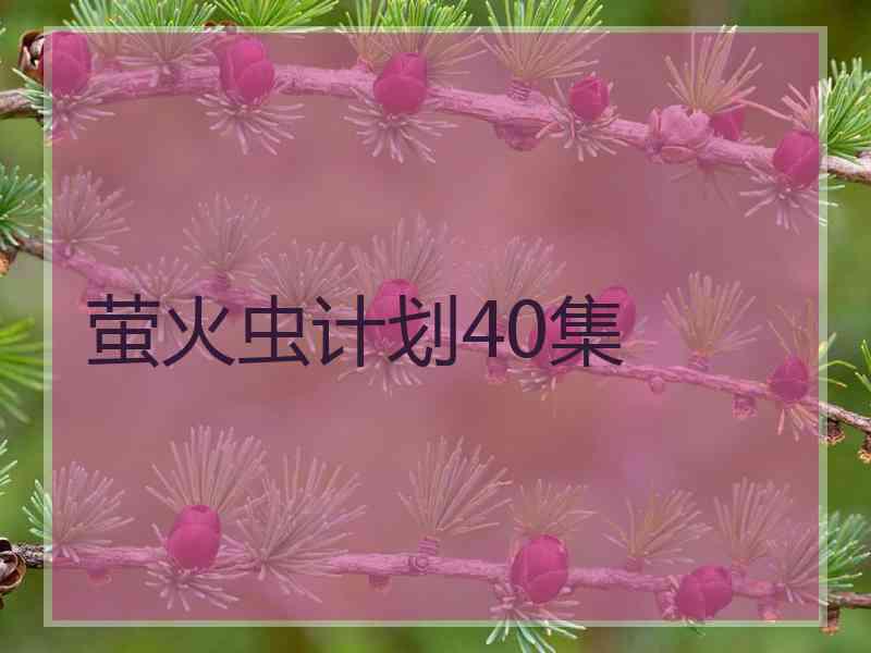 萤火虫计划40集