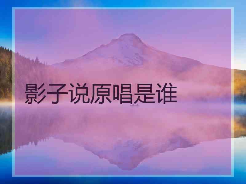 影子说原唱是谁