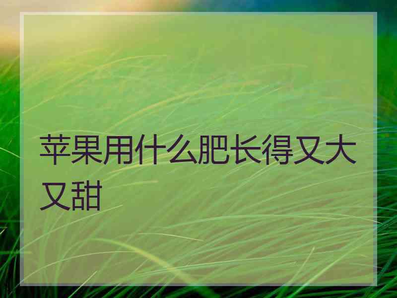 苹果用什么肥长得又大又甜