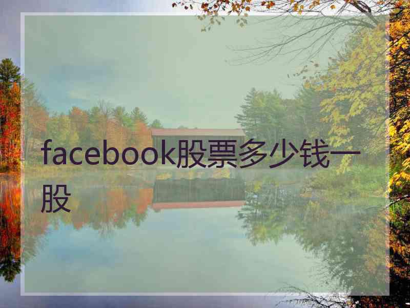 facebook股票多少钱一股