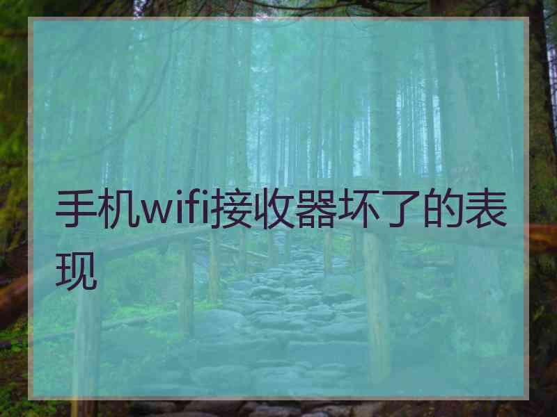 手机wifi接收器坏了的表现