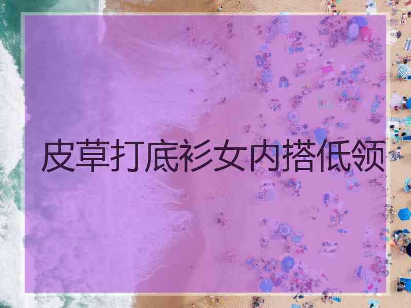 皮草打底衫女内搭低领