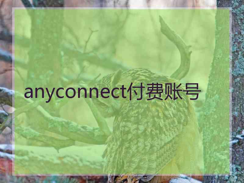 anyconnect付费账号