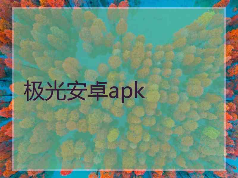 极光安卓apk