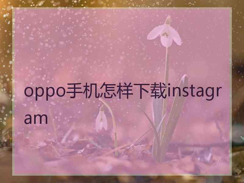 oppo手机怎样下载instagram