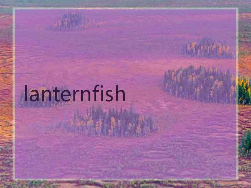 lanternfish