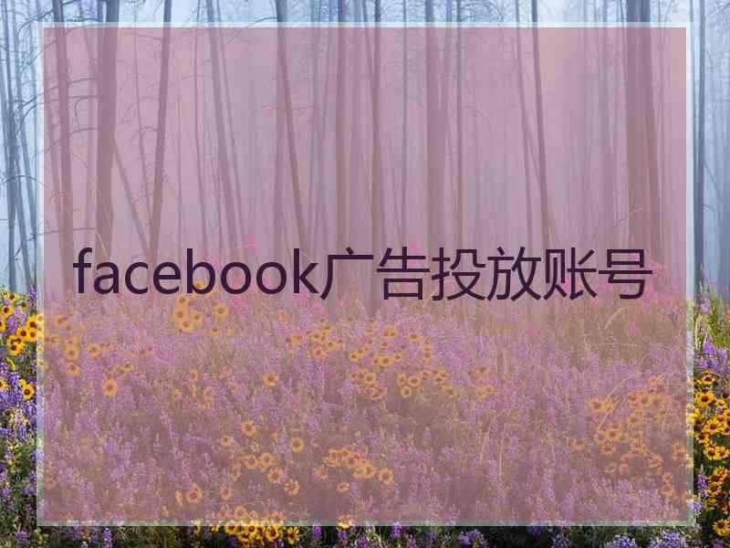 facebook广告投放账号