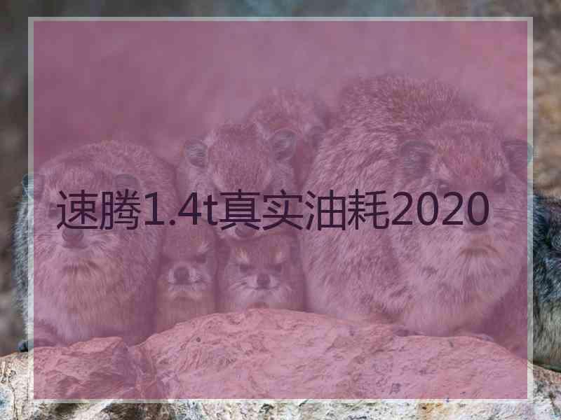 速腾1.4t真实油耗2020